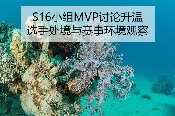 S16小组MVP讨论升温 选手处境与赛事环境观察